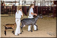 LCFAIR-081318-1316.jpg