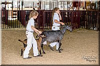 LCFAIR-081318-1317.jpg