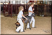 LCFAIR-081318-1318.jpg