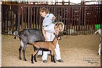 LCFAIR-081318-1319.jpg
