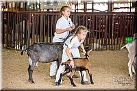 LCFAIR-081318-1320.jpg