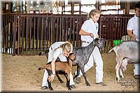 LCFAIR-081318-1321.jpg