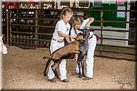 LCFAIR-081318-1324.jpg