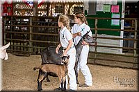 LCFAIR-081318-1326.jpg