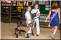 LCFAIR-081318-1330.jpg