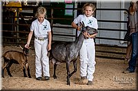 LCFAIR-081318-1331.jpg