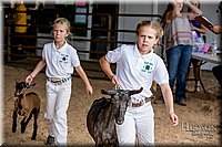 LCFAIR-081318-1332.jpg