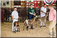 LCFAIR-081318-1334.jpg