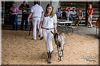 LCFAIR-081318-1336.jpg