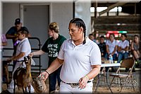 LCFAIR-081318-1338.jpg