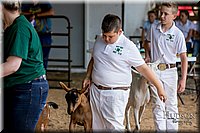LCFAIR-081318-1341.jpg