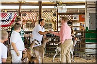 LCFAIR-081318-1342.jpg