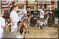 LCFAIR-081318-1347.jpg