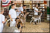 LCFAIR-081318-1348.jpg