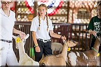 LCFAIR-081318-1350.jpg
