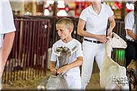 LCFAIR-081318-1353.jpg
