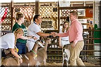 LCFAIR-081318-1355.jpg