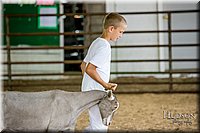 LCFAIR-081318-1387.jpg