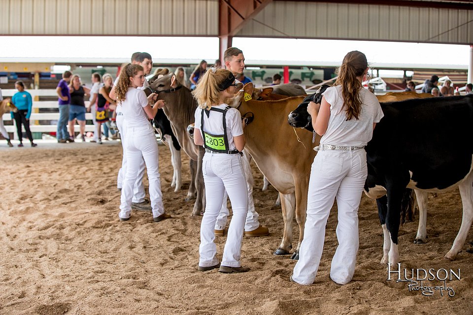 LCFAIR-081318-0874.jpg