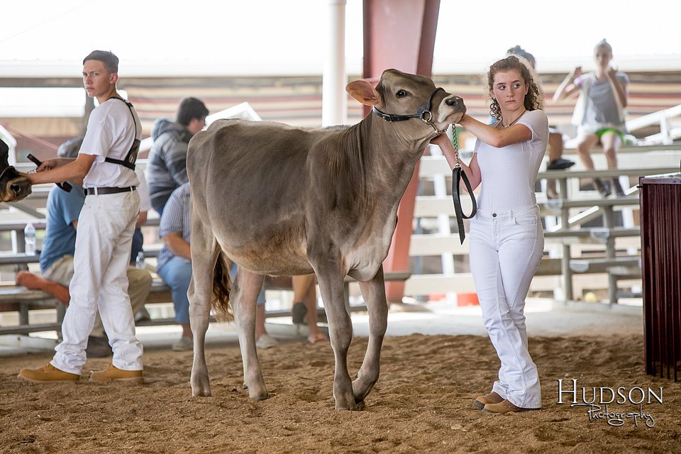 LCFAIR-081318-0881.jpg