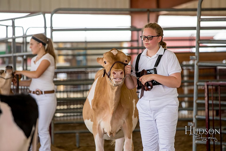 LCFAIR-081318-0935.jpg