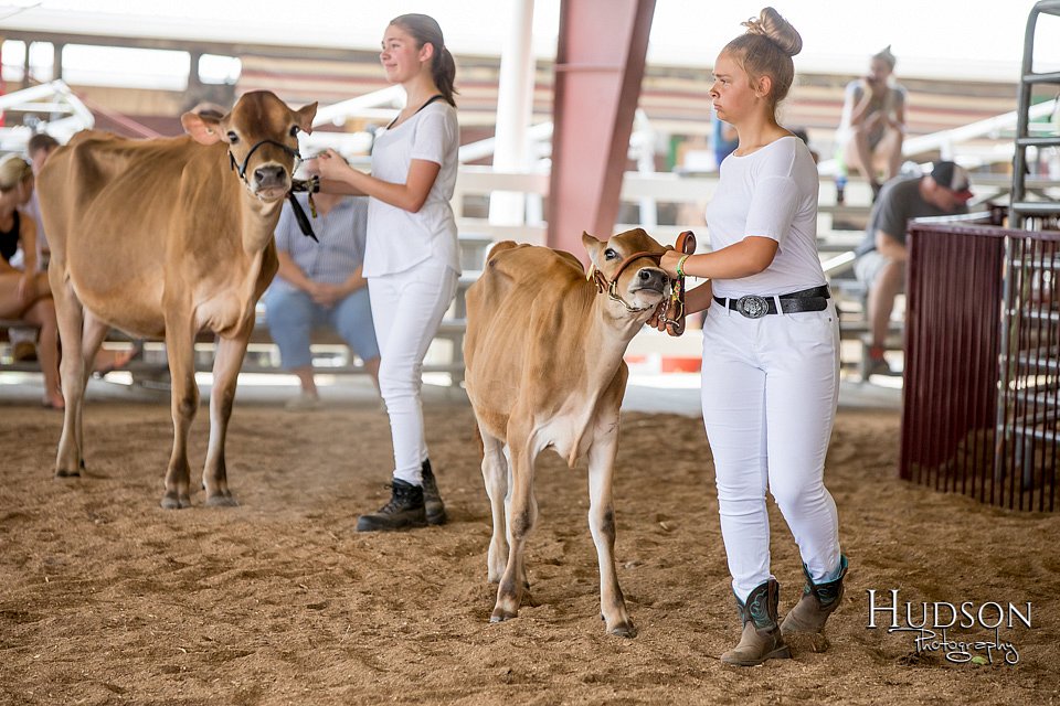 LCFAIR-081318-0947.jpg