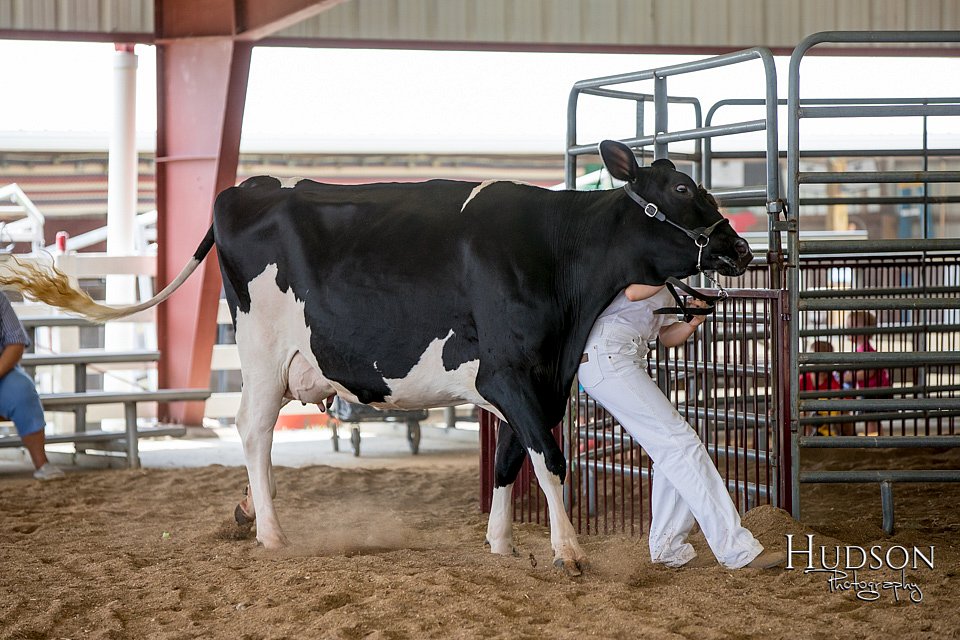 LCFAIR-081318-0997.jpg