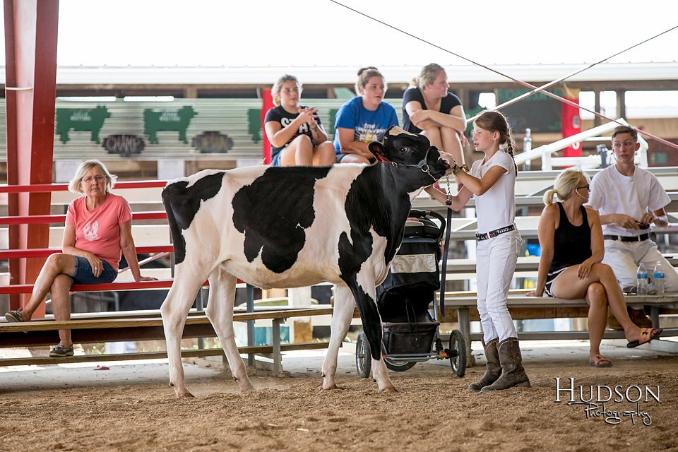 LCFAIR-081318-0998.jpg