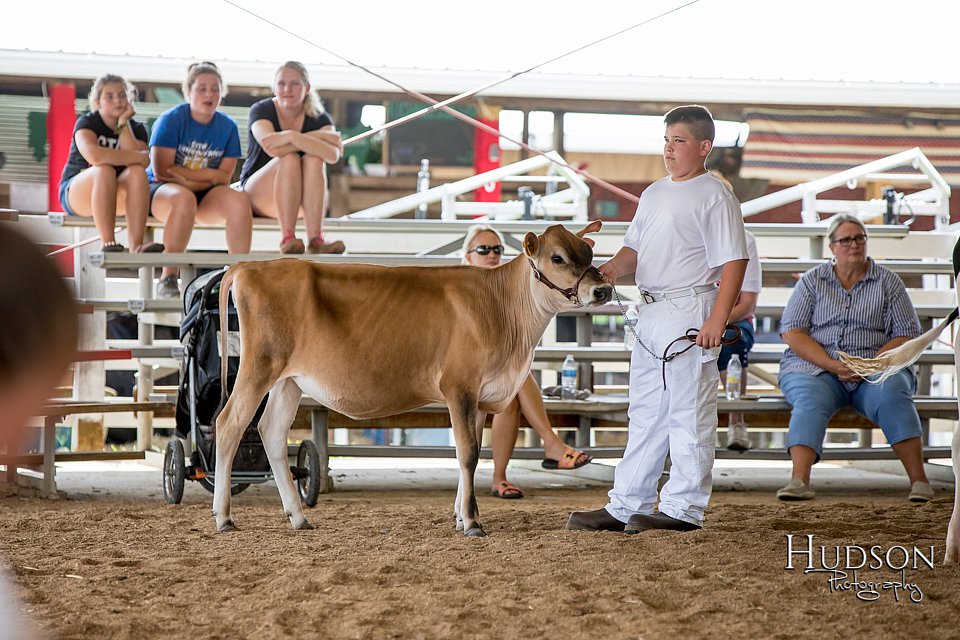LCFAIR-081318-1009.jpg