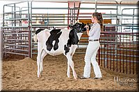 LCFAIR-081318-0943.jpg