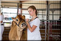 LCFAIR-081318-0954.jpg