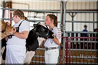 LCFAIR-081318-0957.jpg