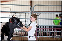 LCFAIR-081318-1031.jpg