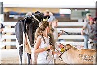 LCFAIR-081318-1092.jpg