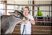LCFAIR-081318-1114.jpg