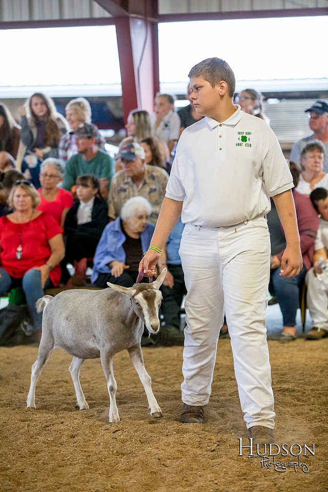 LCFAIR-081318-1586.jpg
