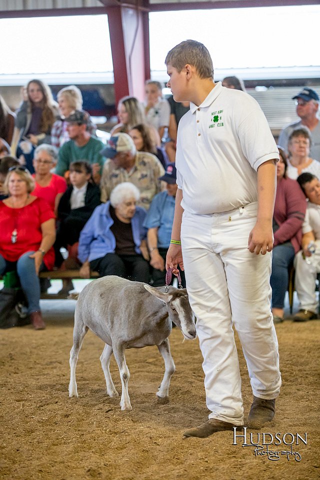 LCFAIR-081318-1587.jpg