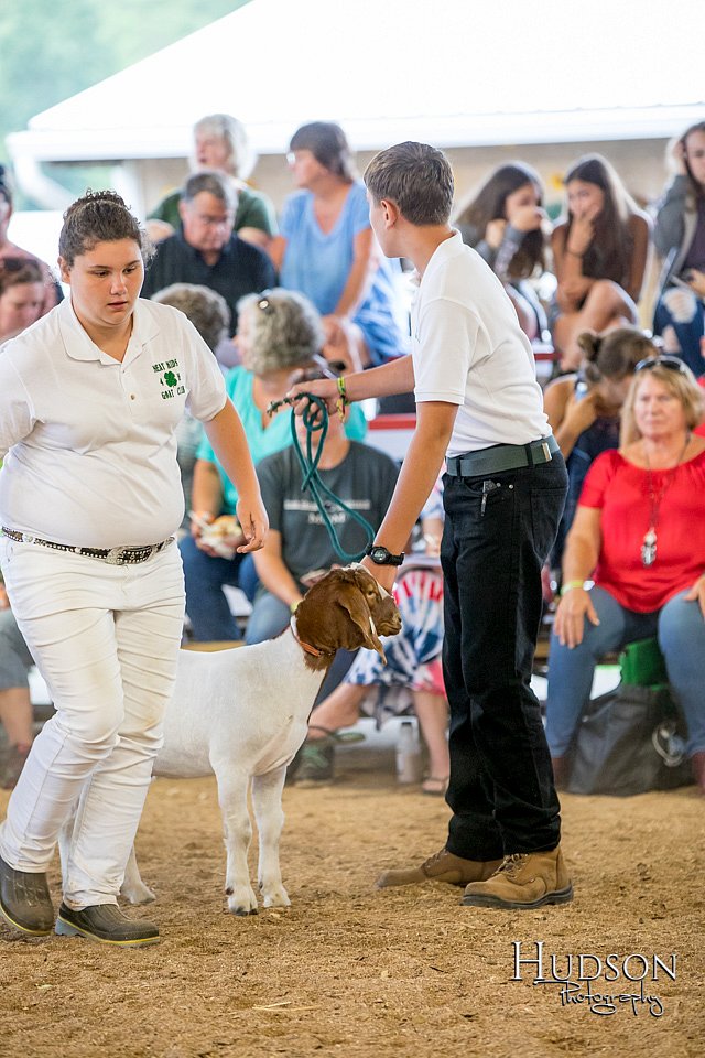 LCFAIR-081318-1588.jpg