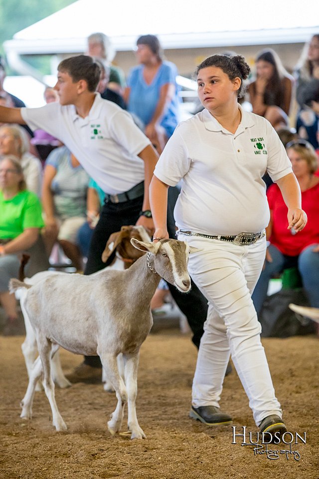 LCFAIR-081318-1589.jpg