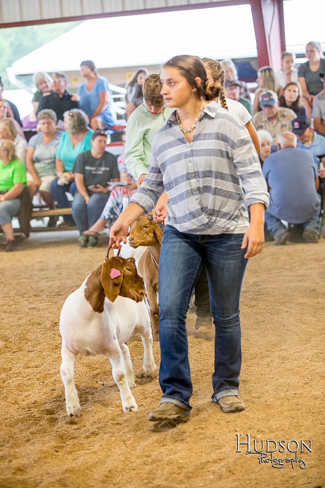 LCFAIR-081318-1595.jpg