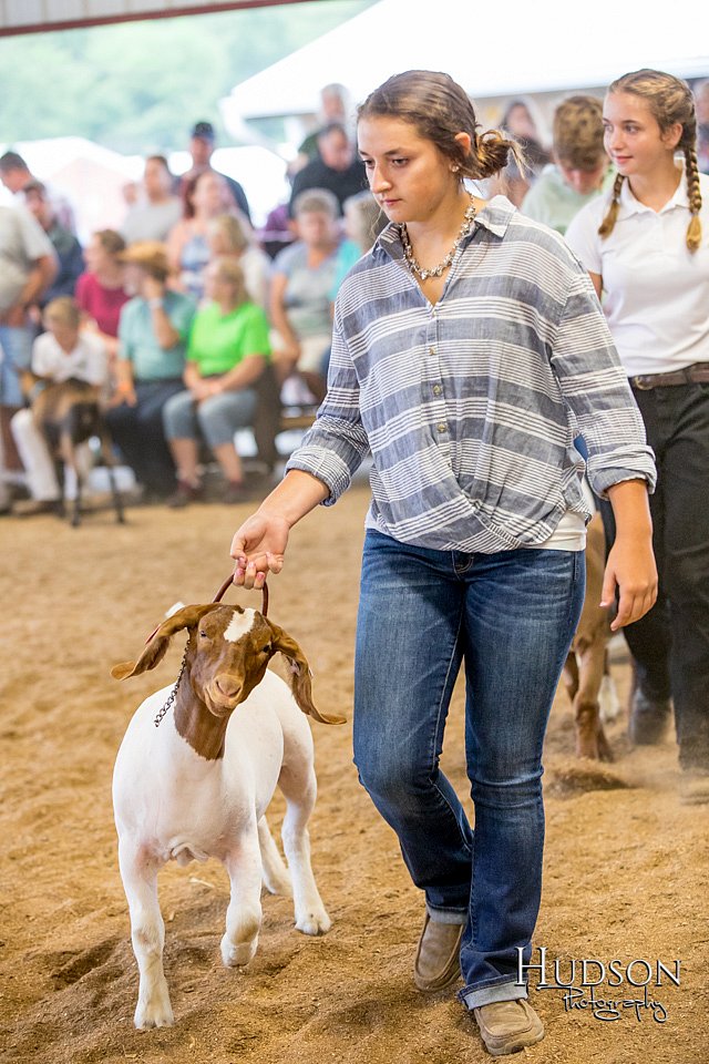 LCFAIR-081318-1596.jpg