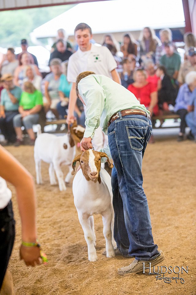 LCFAIR-081318-1600.jpg