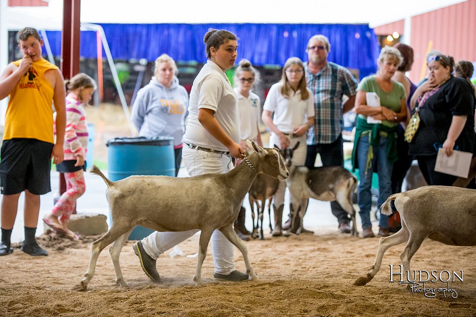 LCFAIR-081318-1609.jpg