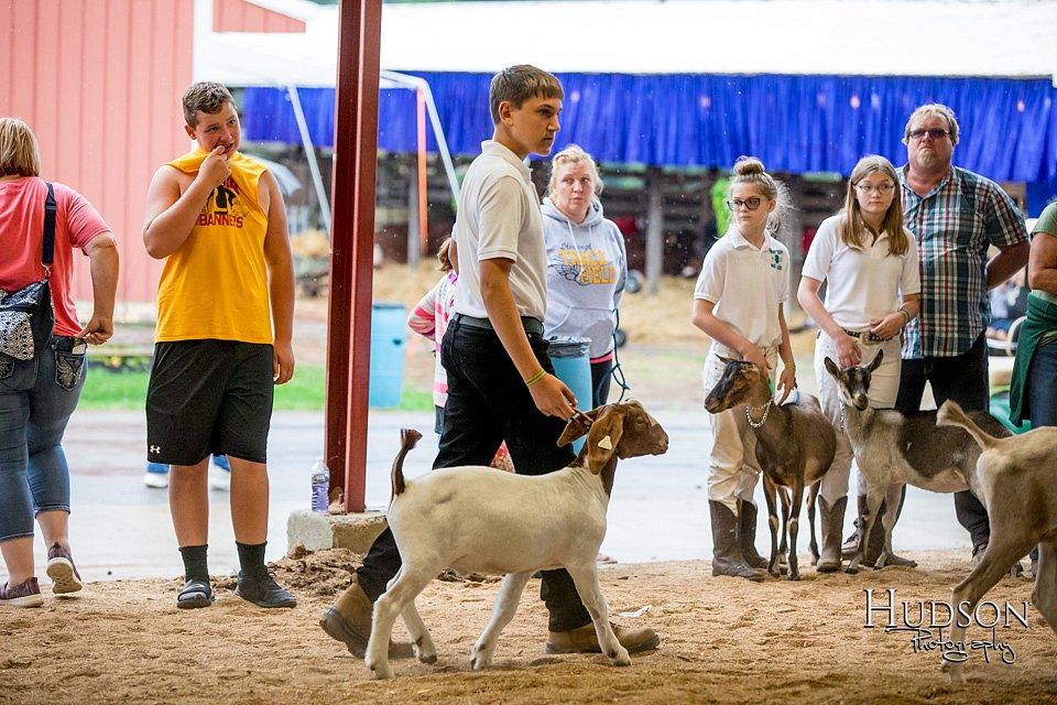 LCFAIR-081318-1610.jpg