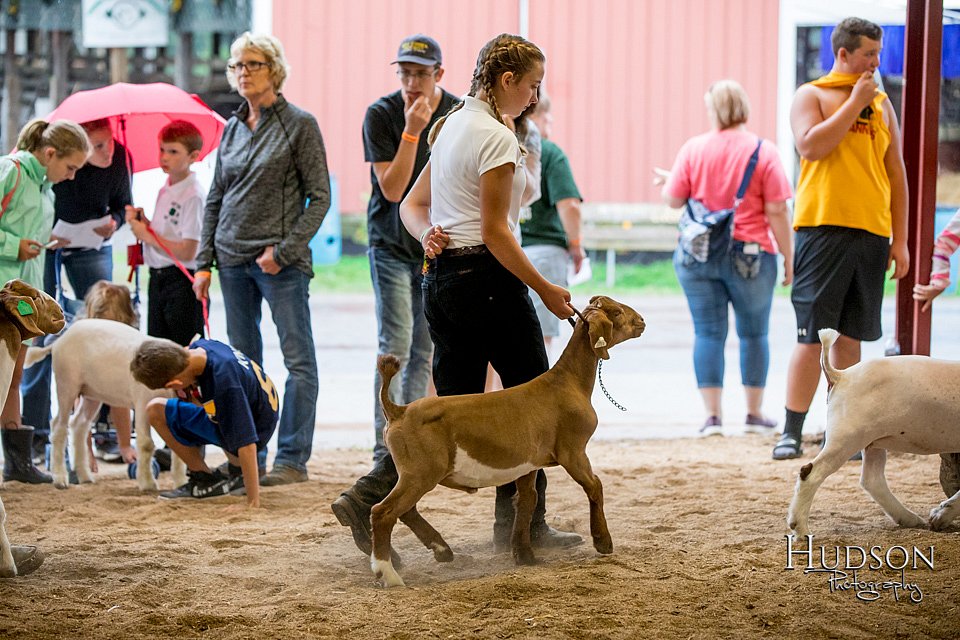LCFAIR-081318-1612.jpg