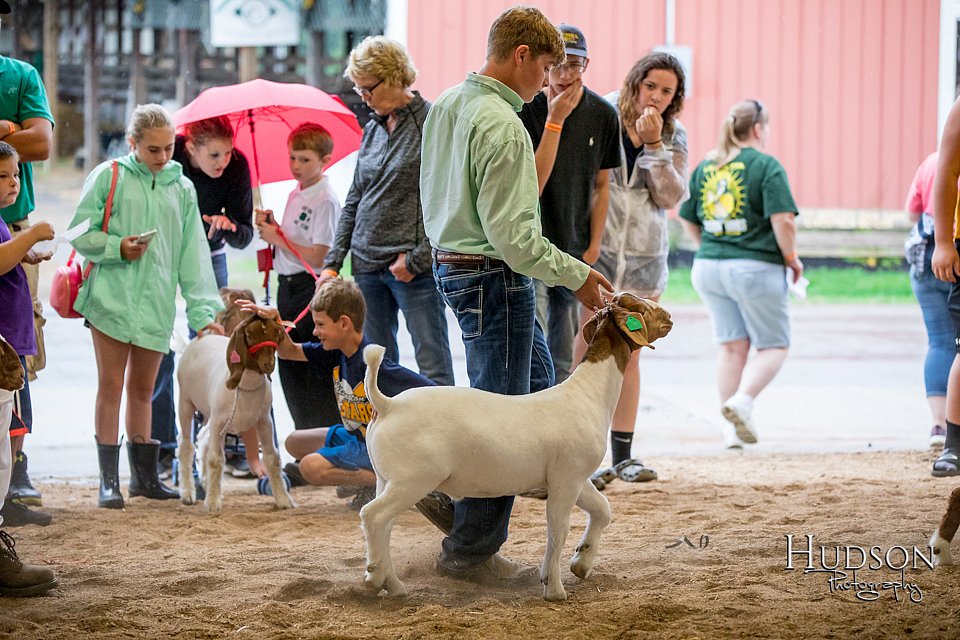 LCFAIR-081318-1613.jpg