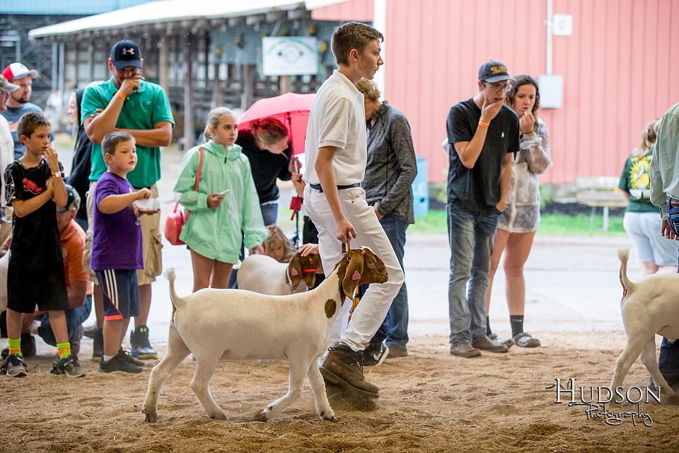 LCFAIR-081318-1614.jpg