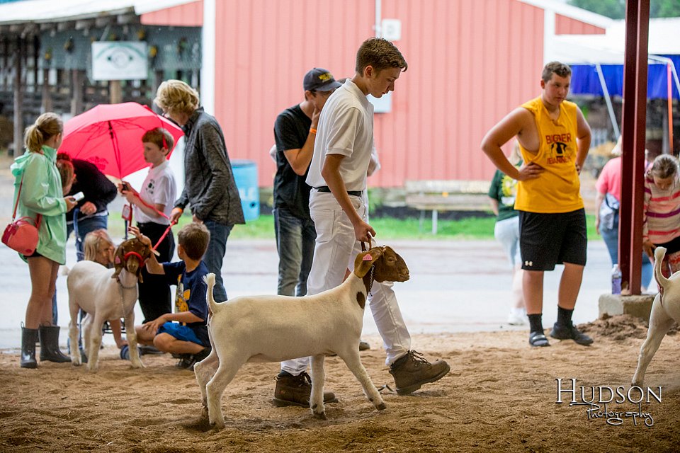LCFAIR-081318-1615.jpg