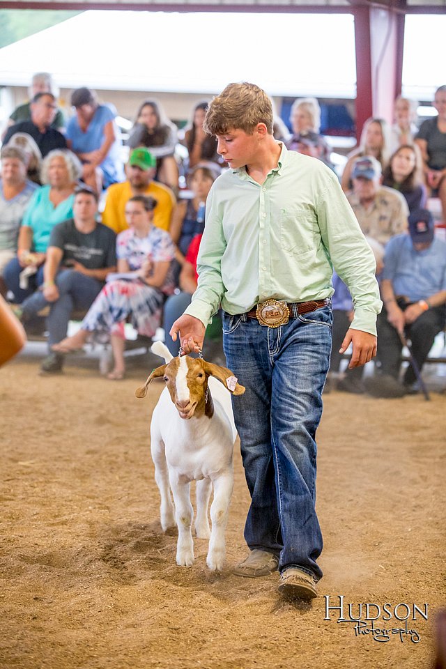LCFAIR-081318-1617.jpg