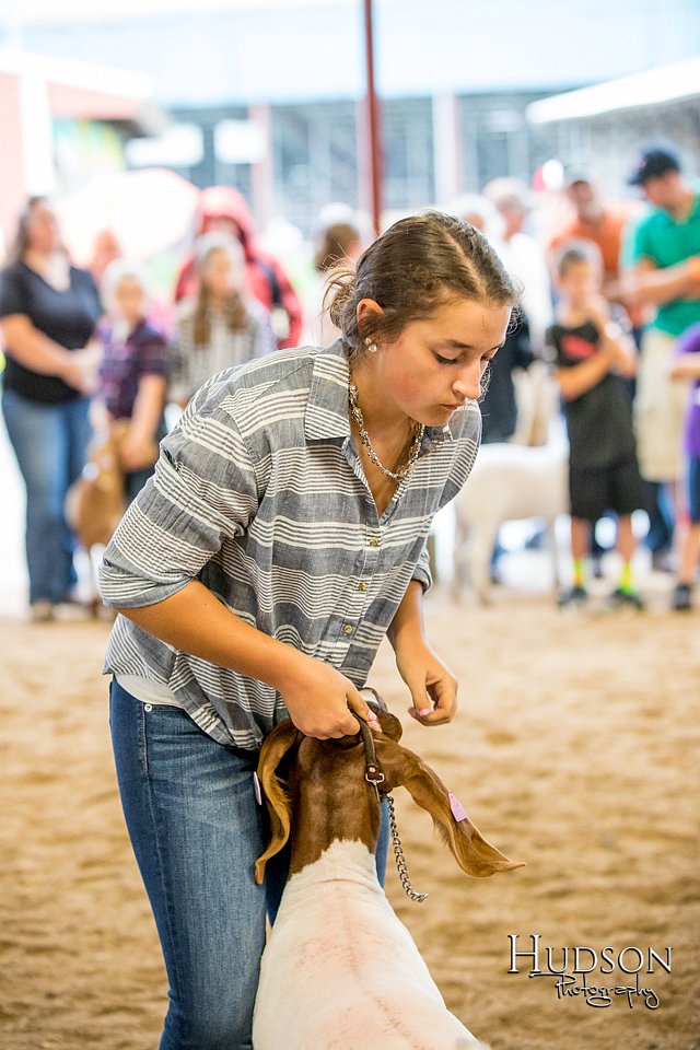 LCFAIR-081318-1622.jpg